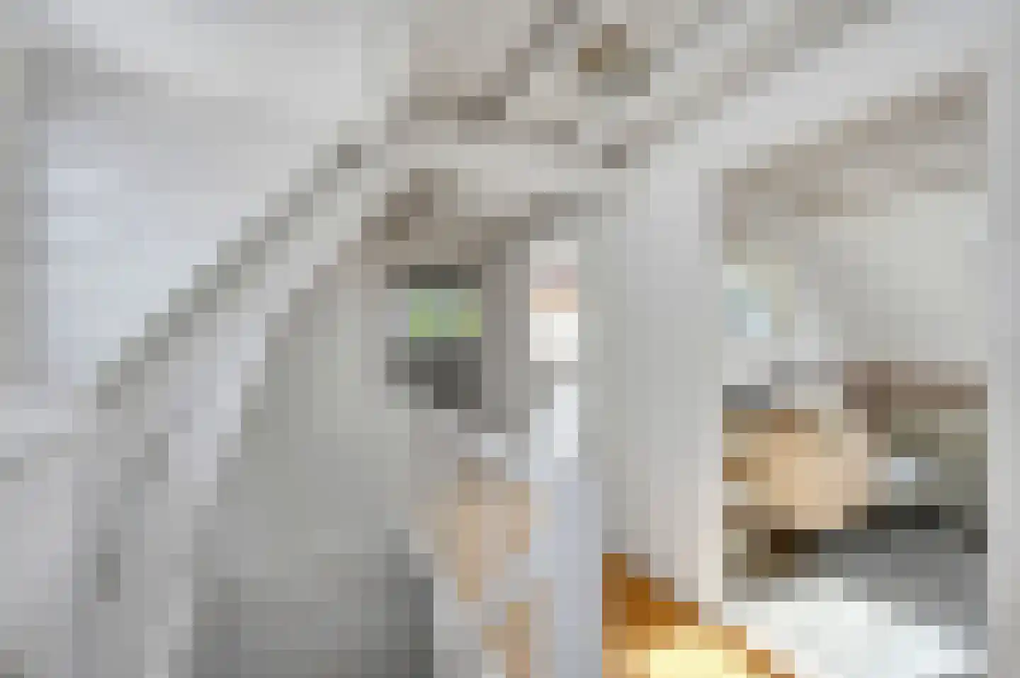 Molenlaan 12 Rijswijk thumbnail 41