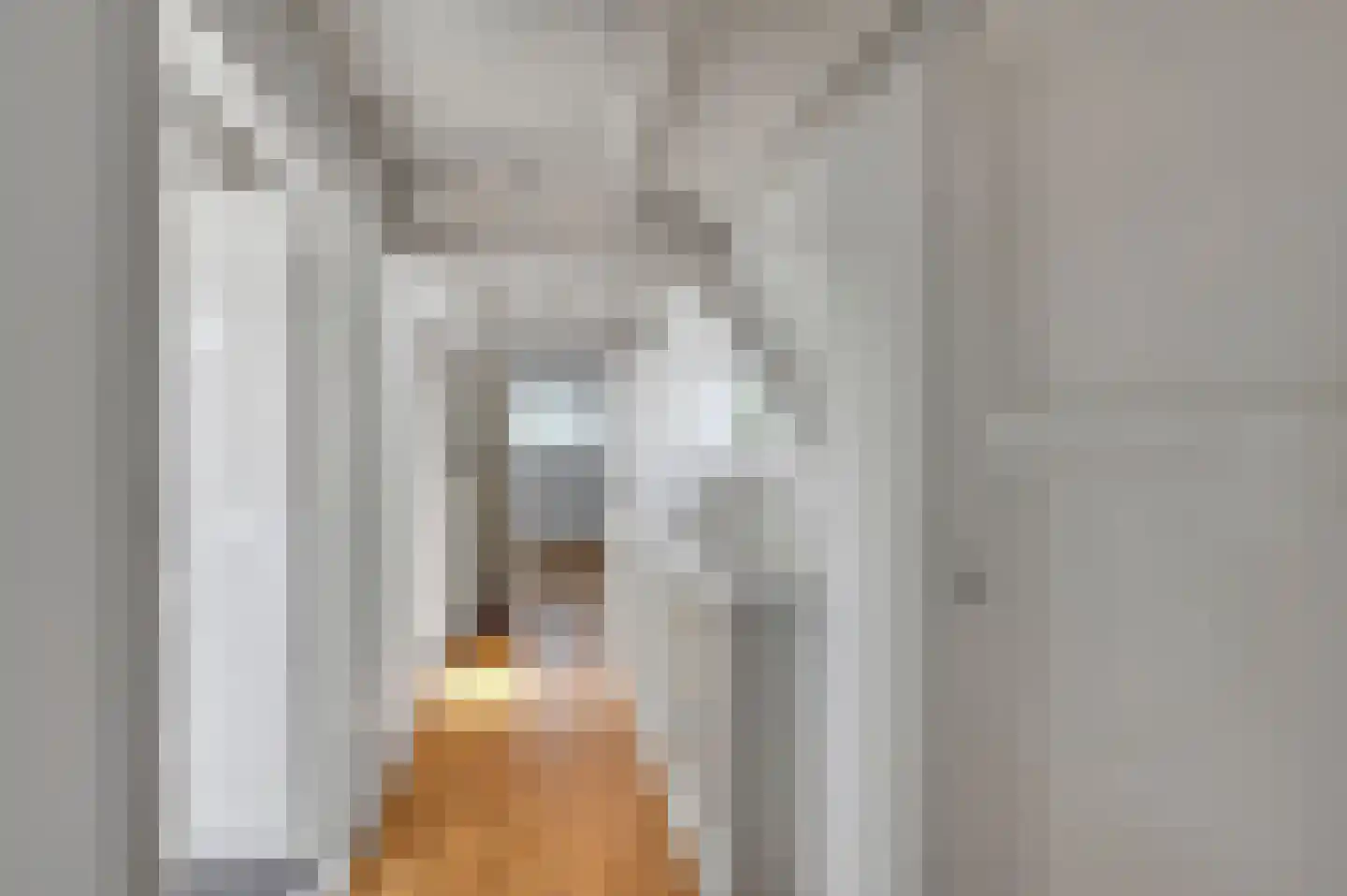 Molenlaan 12 Rijswijk thumbnail 42