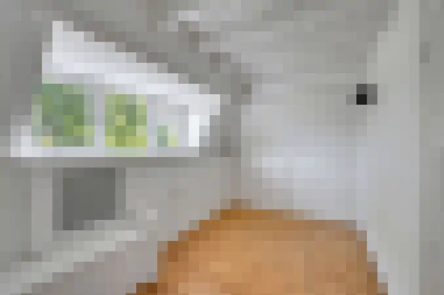 Molenlaan 12 Rijswijk thumbnail 43