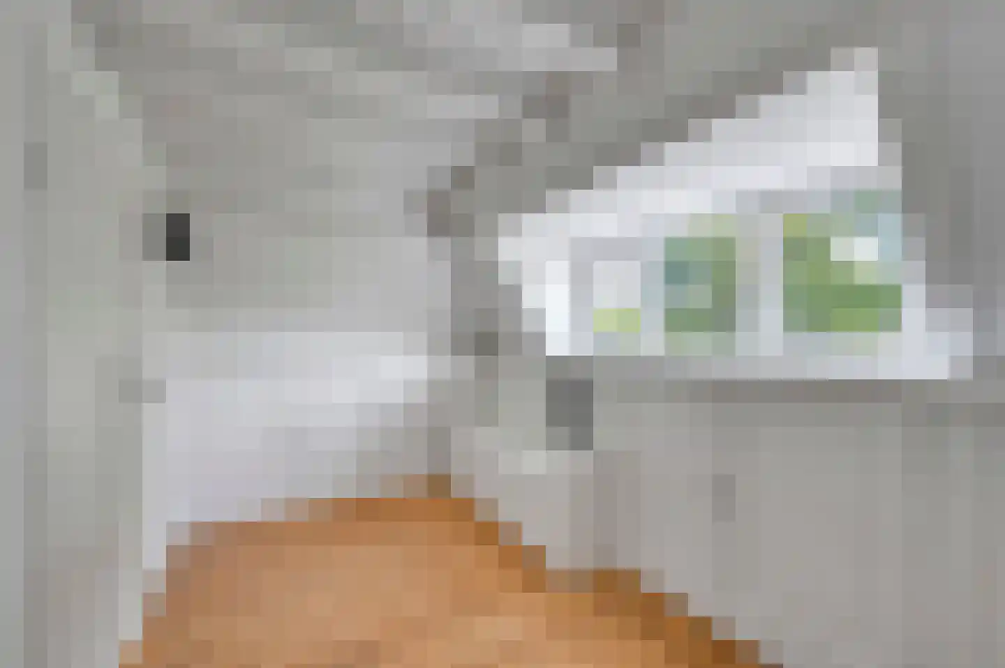 Molenlaan 12 Rijswijk thumbnail 44