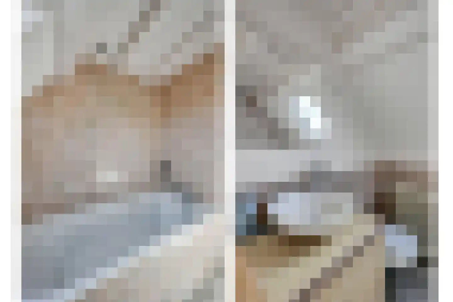 Molenlaan 12 Rijswijk thumbnail 47