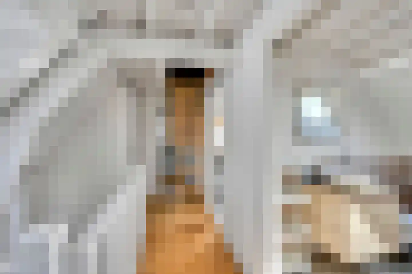 Molenlaan 12 Rijswijk thumbnail 51