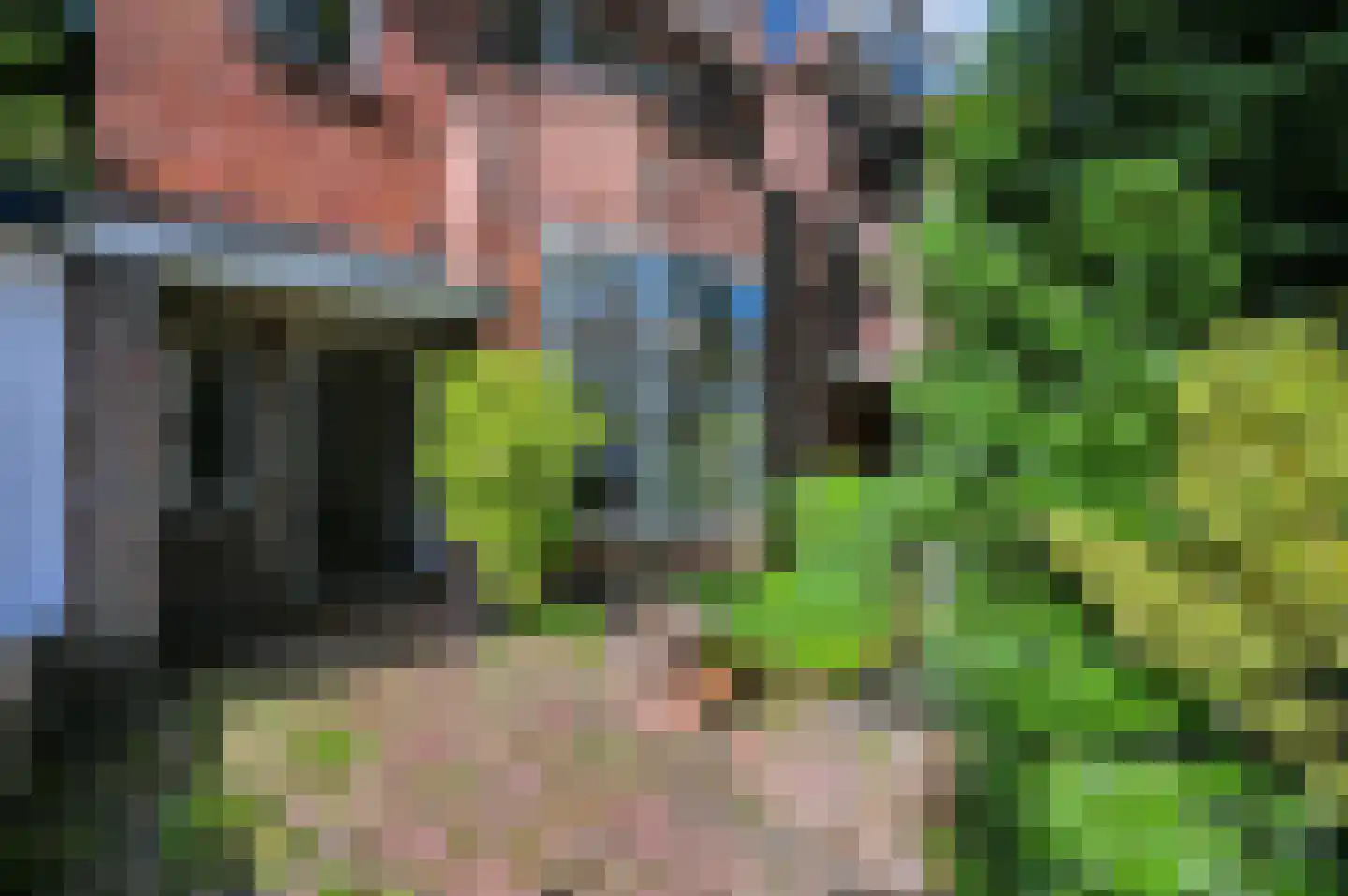 Molenlaan 12 Rijswijk thumbnail 6