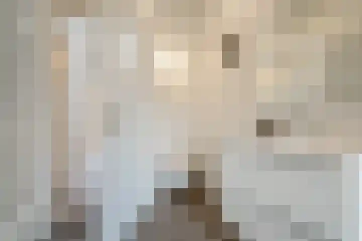Molenlaan 13 Rijswijk thumbnail 23