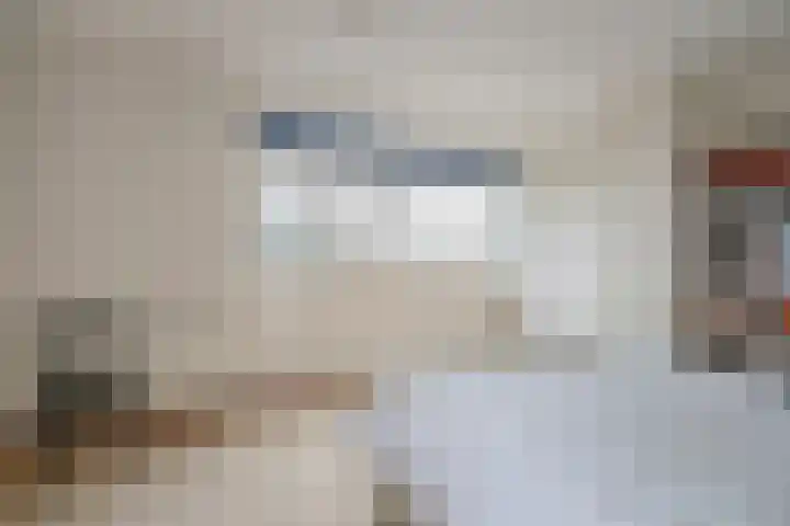 Molenlaan 13 Rijswijk thumbnail 24