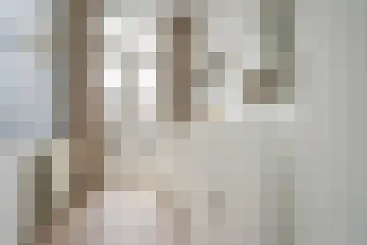 Molenlaan 13 Rijswijk thumbnail 34