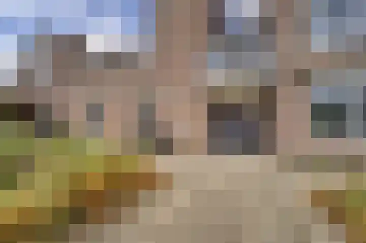 Molenlaan 13 Voorschoten thumbnail 10