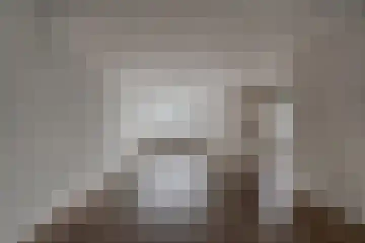 Molenlaan 13 Voorschoten thumbnail 16