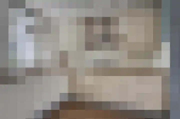 Molenlaan 13 Voorschoten thumbnail 18