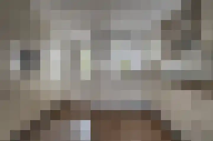Molenlaan 13 Voorschoten thumbnail 19
