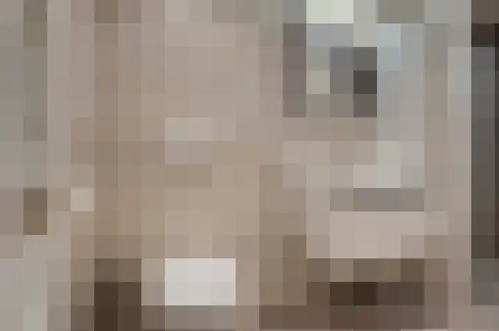 Molenlaan 13 Voorschoten thumbnail 25