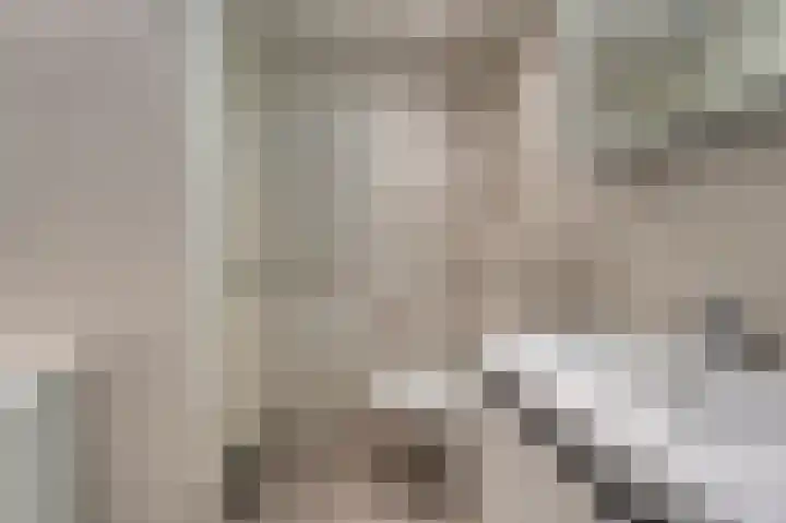 Molenlaan 13 Voorschoten thumbnail 27