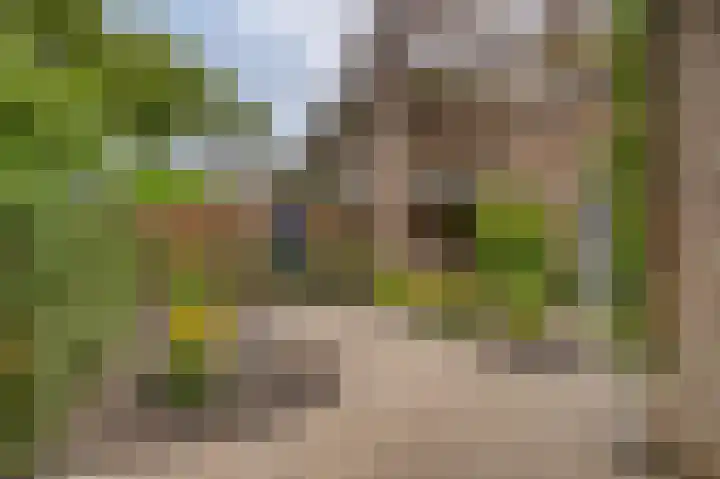 Molenlaan 13 Voorschoten thumbnail 29