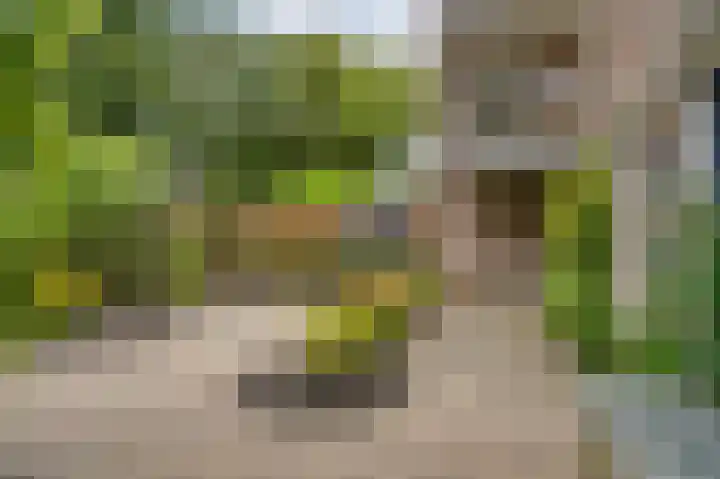 Molenlaan 13 Voorschoten thumbnail 30