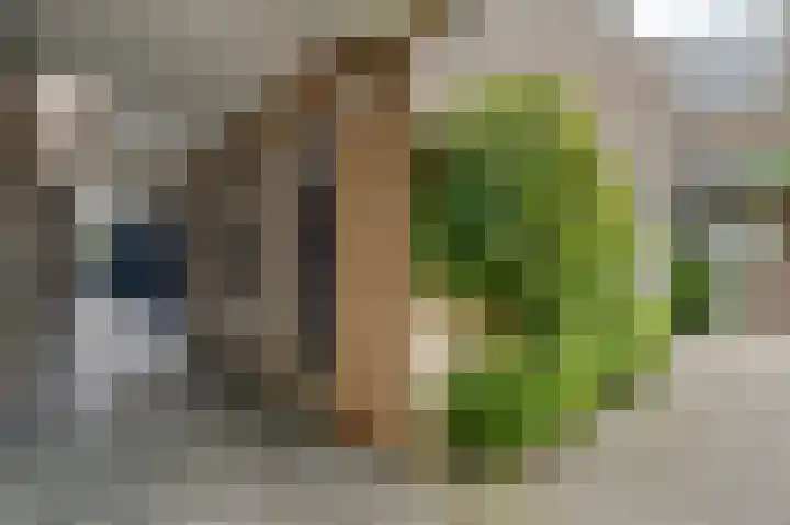 Molenlaan 13 Voorschoten thumbnail 31
