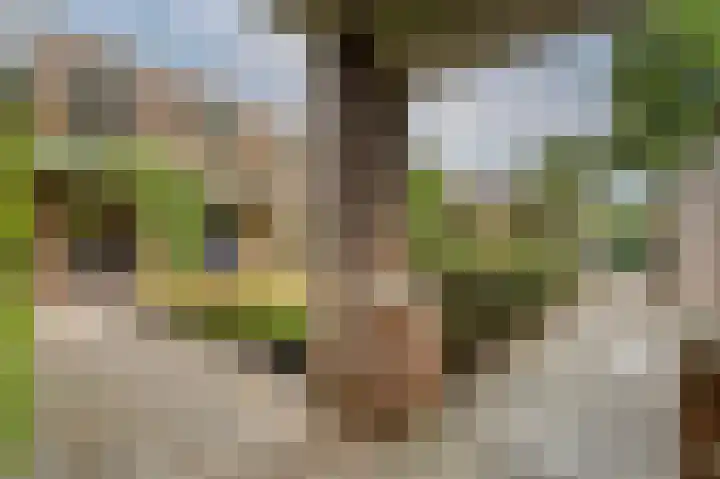 Molenlaan 13 Voorschoten thumbnail 32