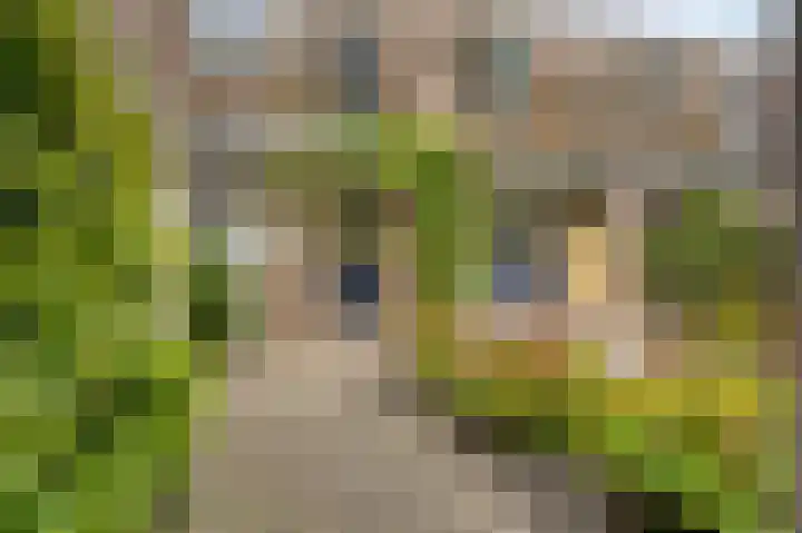 Molenlaan 13 Voorschoten thumbnail 33