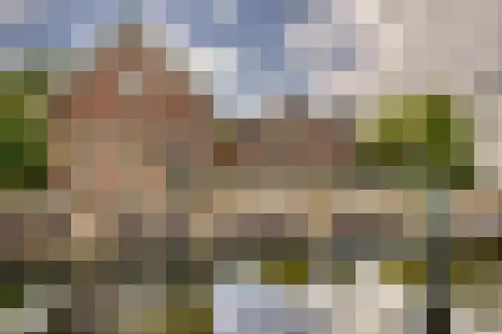 Molenlaan 13 Voorschoten thumbnail 35