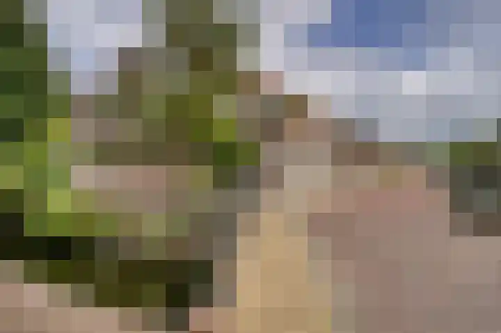 Molenlaan 13 Voorschoten thumbnail 7
