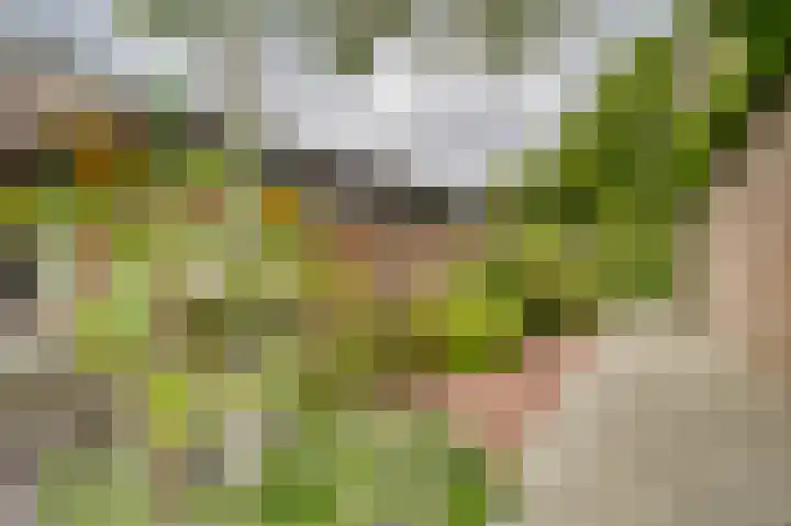 Molenlaan 13 Voorschoten thumbnail 8