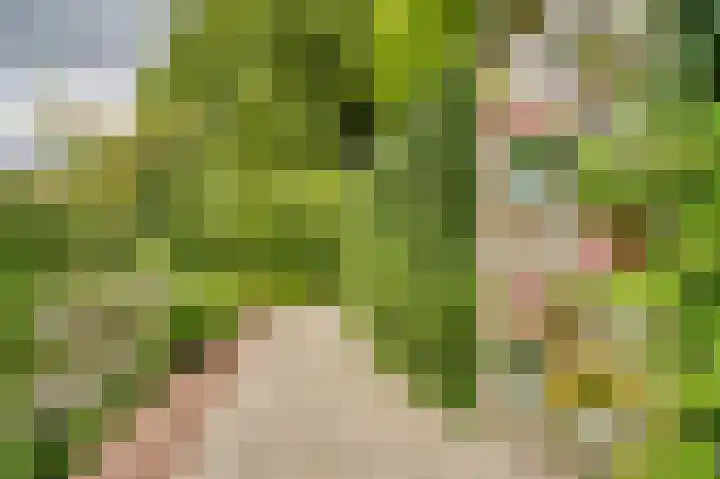 Molenlaan 13 Voorschoten thumbnail 9