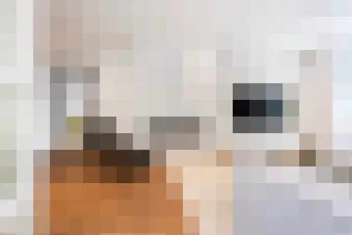 Molenlaan 136 Rotterdam thumbnail 12