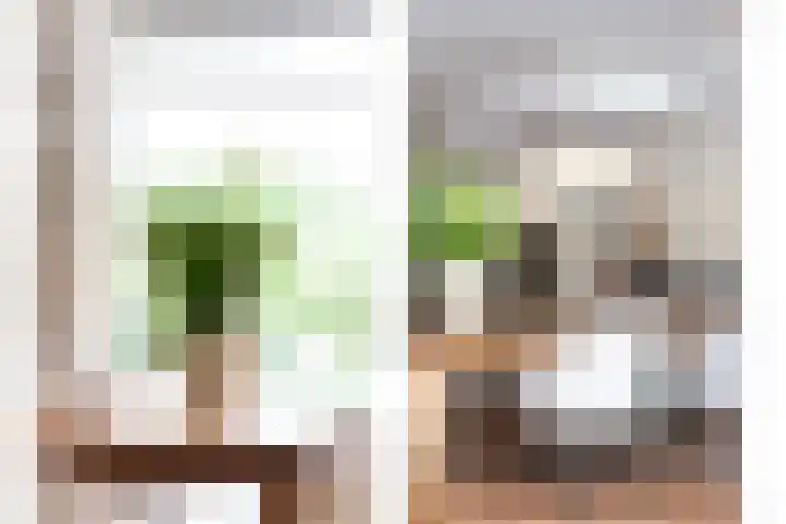 Molenlaan 136 Rotterdam thumbnail 19