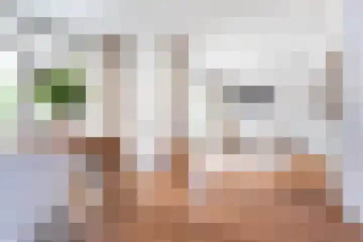 Molenlaan 136 Rotterdam thumbnail 20