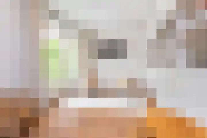Molenlaan 136 Rotterdam thumbnail 21