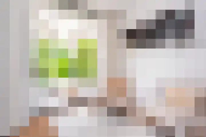 Molenlaan 136 Rotterdam thumbnail 23