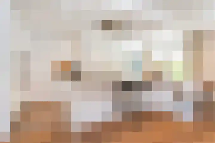Molenlaan 136 Rotterdam thumbnail 25