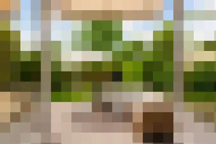 Molenlaan 136 Rotterdam thumbnail 29