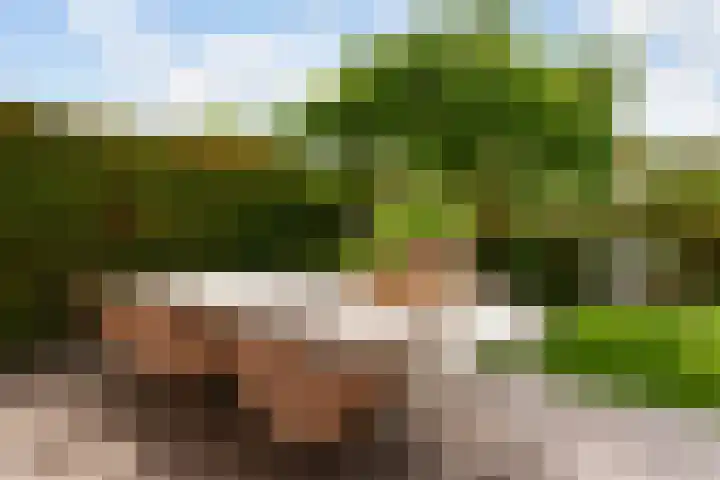 Molenlaan 136 Rotterdam thumbnail 30