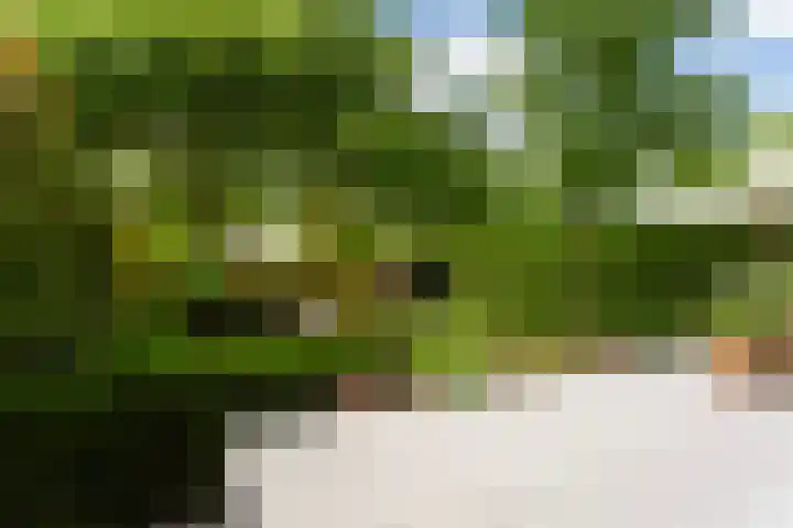 Molenlaan 136 Rotterdam thumbnail 31
