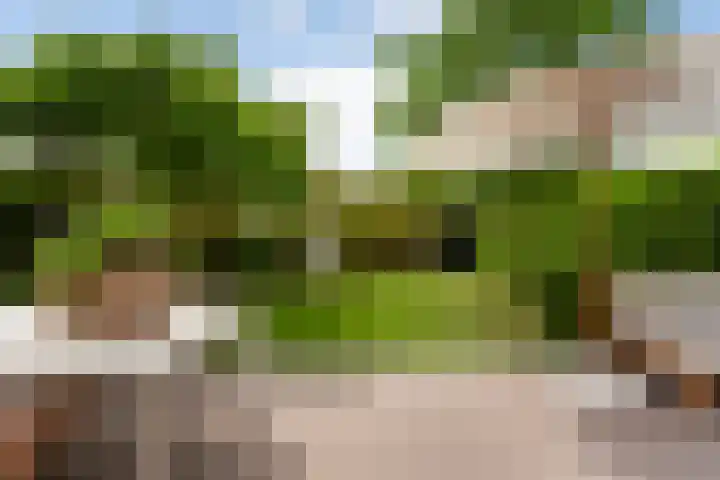 Molenlaan 136 Rotterdam thumbnail 32