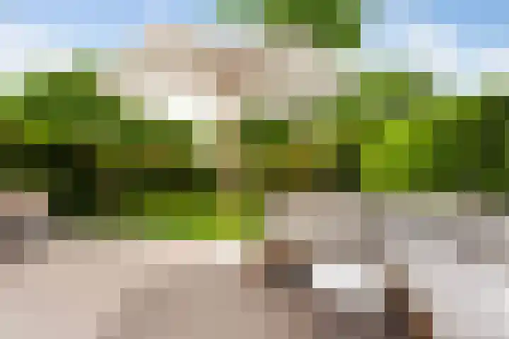 Molenlaan 136 Rotterdam thumbnail 33