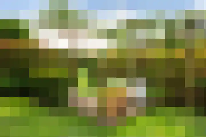 Molenlaan 136 Rotterdam thumbnail 34