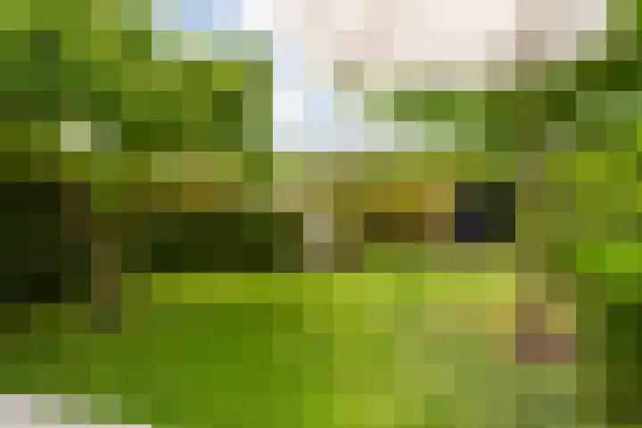 Molenlaan 136 Rotterdam thumbnail 35