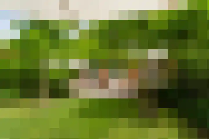 Molenlaan 136 Rotterdam thumbnail 37