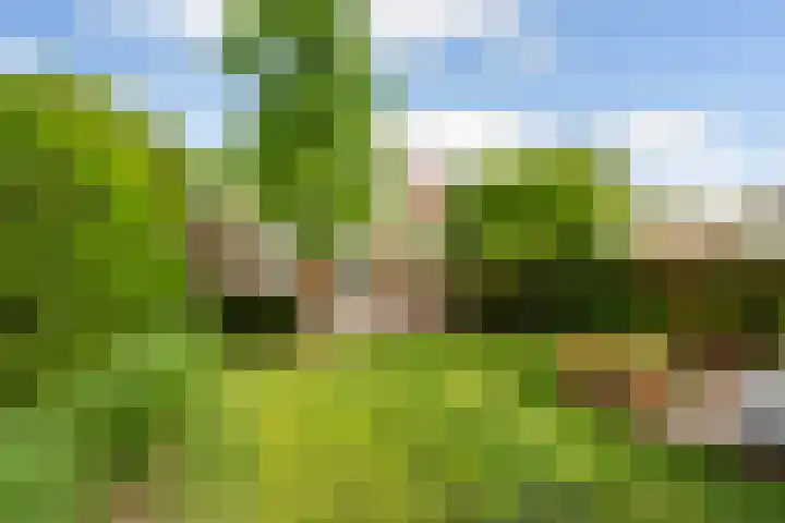 Molenlaan 136 Rotterdam thumbnail 39