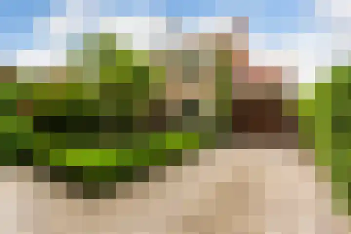 Molenlaan 136 Rotterdam thumbnail 4
