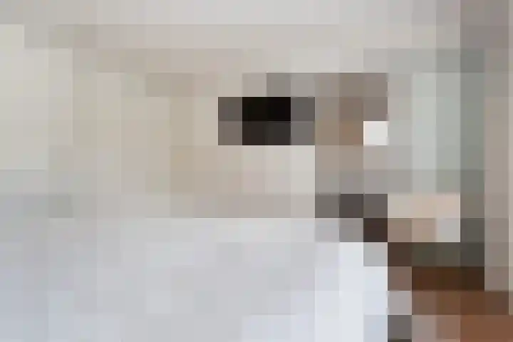 Molenlaan 136 Rotterdam thumbnail 53