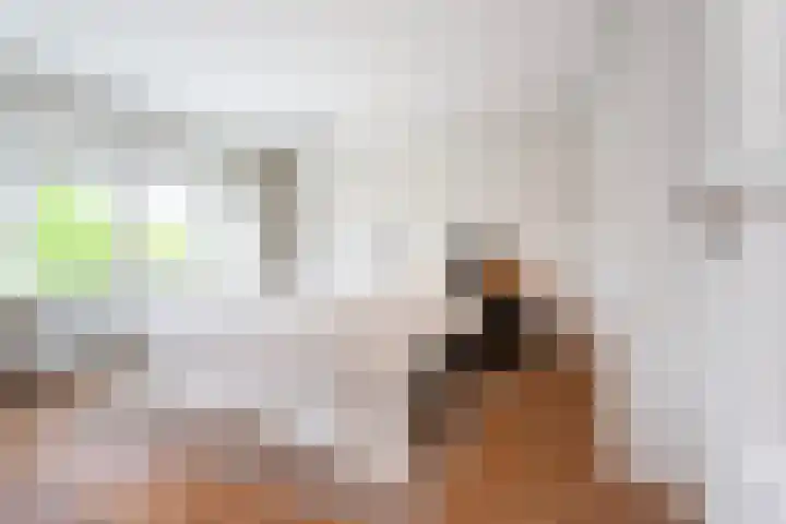 Molenlaan 136 Rotterdam thumbnail 55