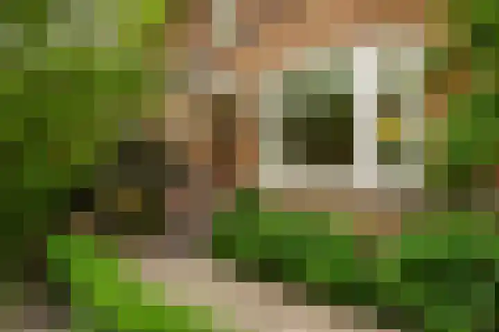 Molenlaan 136 Rotterdam thumbnail 6