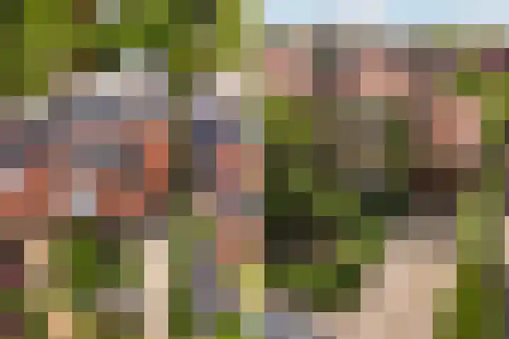 Molenlaan 136 Rotterdam thumbnail 61