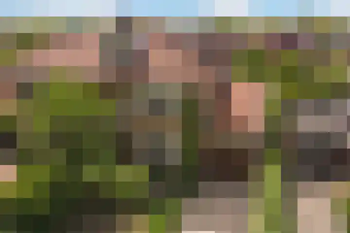 Molenlaan 136 Rotterdam thumbnail 68