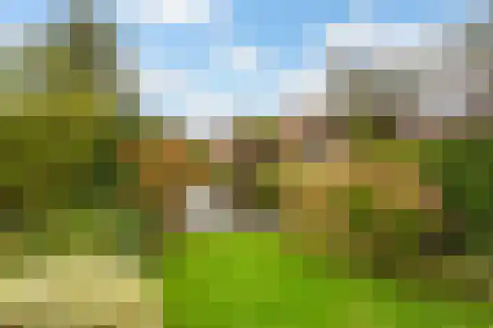 Molenlaan 146 Rotterdam thumbnail 12
