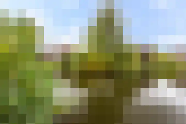 Molenlaan 146 Rotterdam thumbnail 13