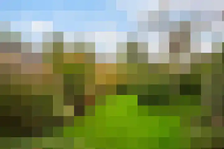 Molenlaan 146 Rotterdam thumbnail 14