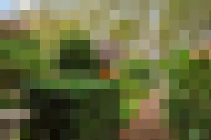 Molenlaan 146 Rotterdam thumbnail 15
